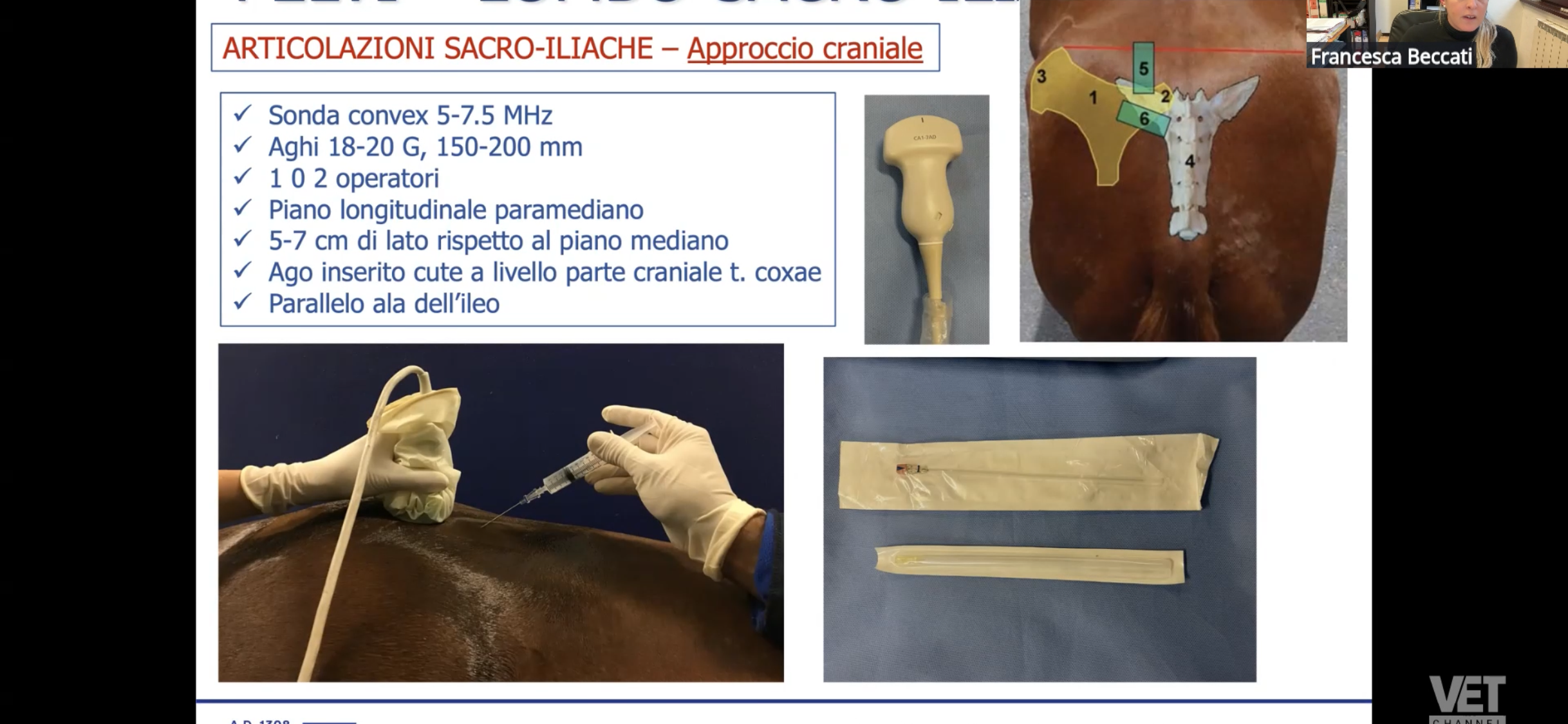 Immagine articolo